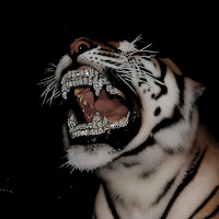 Kiraw - Assassin mp3 скачать