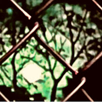 Saraunh0Ly - Wutiwant mp3 скачать